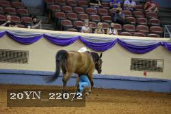 20YN_22072 thumbnail