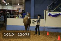 20YN_22073 thumbnail