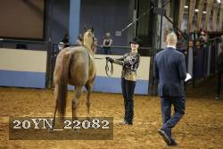 20YN_22082 thumbnail