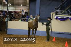 20YN_22085 thumbnail