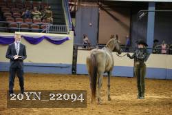 20YN_22094 thumbnail
