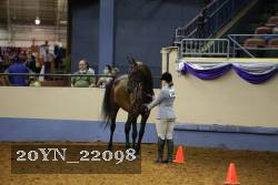 20YN_22098 thumbnail