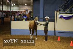 20YN_22114 thumbnail