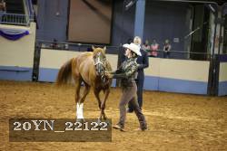 20YN_22122 thumbnail