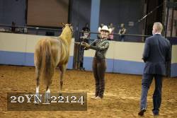 20YN_22124 thumbnail