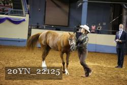 20YN_22125 thumbnail