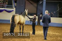 20YN_22141 thumbnail
