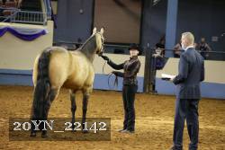 20YN_22142 thumbnail