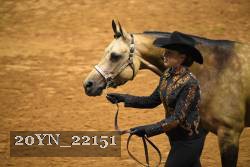 20YN_22151 thumbnail
