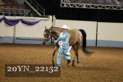 20YN_22152 thumbnail