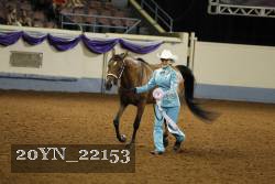 20YN_22153 thumbnail