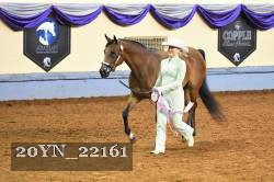 20YN_22161 thumbnail