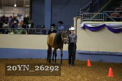 20YN_26292 thumbnail