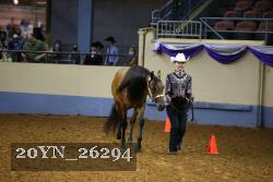 20YN_26294 thumbnail