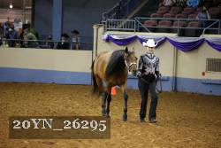 20YN_26295 thumbnail