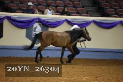 20YN_26304 thumbnail
