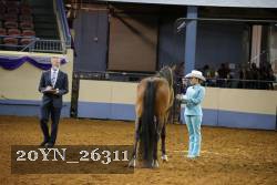 20YN_26311 thumbnail