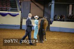 20YN_26312 thumbnail