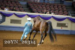 20YN_26314 thumbnail
