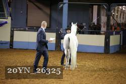 20YN_26325 thumbnail