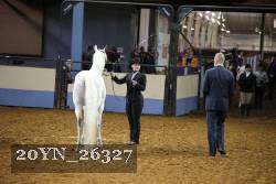 20YN_26327 thumbnail