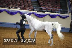 20YN_26328 thumbnail