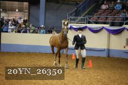20YN_26350 thumbnail