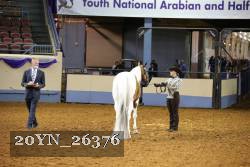 20YN_26376 thumbnail
