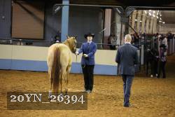 20YN_26394 thumbnail