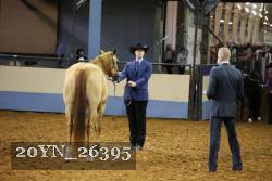20YN_26395 thumbnail