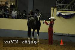 20YN_26409 thumbnail