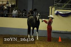 20YN_26410 thumbnail