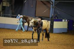 20YN_28488 thumbnail