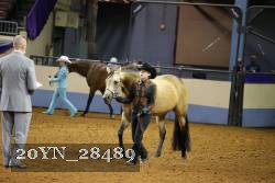 20YN_28489 thumbnail