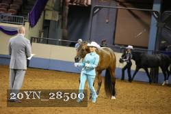 20YN_28500 thumbnail