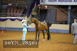 20YN_28501 thumbnail