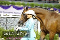 20YN_28505 thumbnail