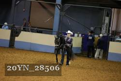 20YN_28506 thumbnail