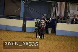 20YN_28535 thumbnail