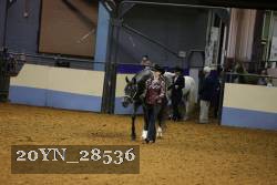 20YN_28536 thumbnail