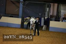 20YN_28545 thumbnail