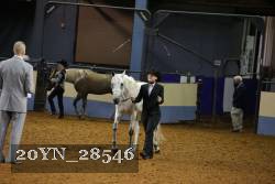 20YN_28546 thumbnail