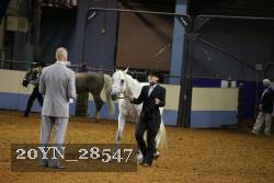 20YN_28547 thumbnail