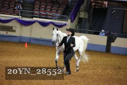 20YN_28552 thumbnail