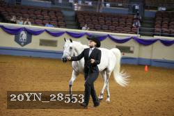 20YN_28553 thumbnail