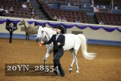 20YN_28554 thumbnail