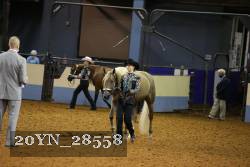 20YN_28558 thumbnail