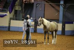 20YN_28561 thumbnail