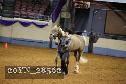 20YN_28562 thumbnail