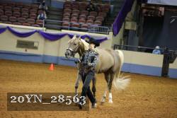 20YN_28563 thumbnail